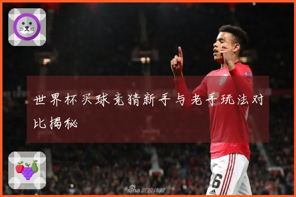 世界杯买球竞猜新手与老手玩法对比揭秘