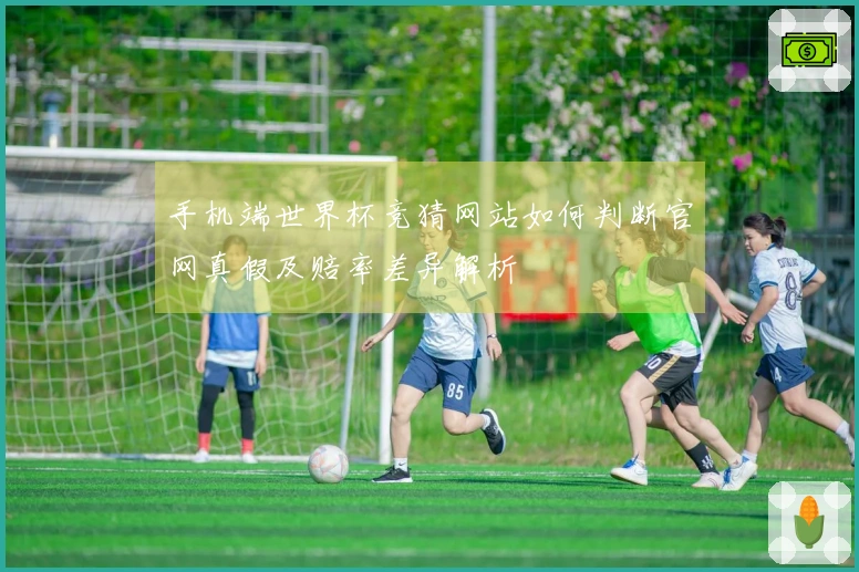 手机端世界杯竞猜网站如何判断官网真假及赔率差异解析